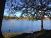 Katzensee bei Regensdorf 4