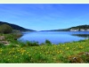 Lac de Joux