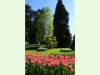 Fête de la tulipe im Schlossgarten von Morges