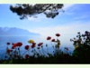 Genfersee-Ufer in Montreux