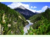 Im Nationalpark kurz vor dem Ofenpass