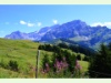 Beim Col de la Croix in den Waadtländer Alpen mit dem Scex Rouge im Hintergrund