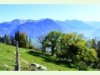 Buochserhorn im Herbst vom Bürgenstock aus