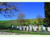Friedhof und Rebberge von Trasadingen
