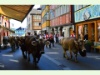 Alpabzug duch die Hauptstrasse in Appenzell