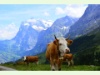 Auf der Kleinen Scheidegg mit Blick nach Grindelwald