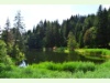 Lac de Joncs in Les Paccots