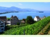 Rapperswil