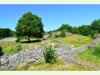 Ruine Froburg in Trimbach