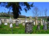 Jüdischer Friedhof in Lengnau