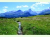 Hochmoorlandschaft Alp Flix