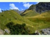 Schafe auf der Tschinglenalp in Elm