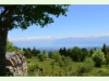 Auf der Passstrasse zum Col de Marchairuz bei Gimel