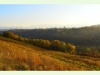 Weinberge im Vallon de l’Allondon bei Russin