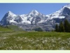 Eiger, Mönch und Jungfrau im Frühsommer