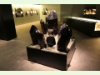 Morion, dunkler Rauchquarz im Naturhistorischen Museum in Bern