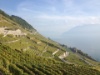 Lavaux 2